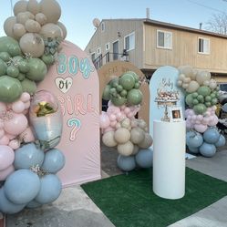 Gender reveal