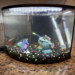 6 gallon fish tank with filter, heater, rocks and decoration