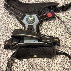 Poypet Harness