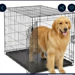 Dog / Animal Crate