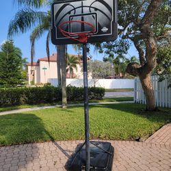 Lifetime Height Adjustable Portable Basketball System, 44 Inch Backboard

