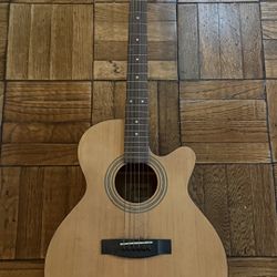 Jasmine Guitar 