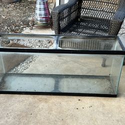 55 Gallon Aquarium 