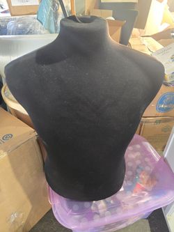 Mannequins / Dress Forms – 5 Total ✨