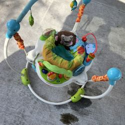 Baby Bouncer 