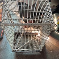 Bird Cage 