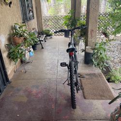 Road Master Mountain Bike