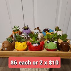 Mini Animal Ceramic Pot with Live Succulents
