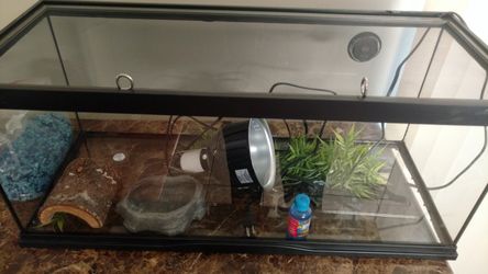 20 gallon reptile / fish tank
