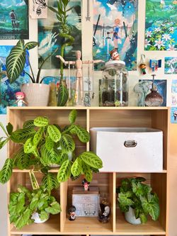 7 Cube Wooden shelf