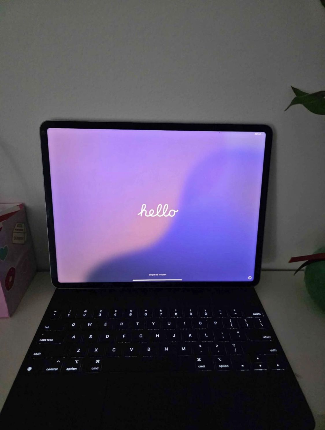 Ipad pro 2024 WIFI (13 inch)