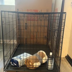 New XL Dog Crate (42 in x 27 x 27)