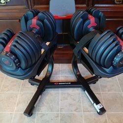 Bowflex Select Tech 552Adjustable Dumbbells With Stand