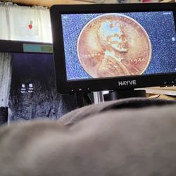 1944 Lincoln Wheat Vintage Coin