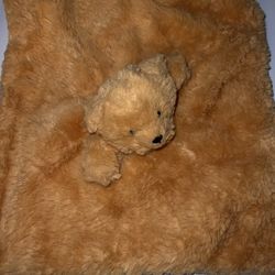 Brown Bear Lovey