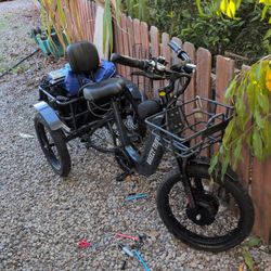 Breezy Trike 48 Volt Electric Trike