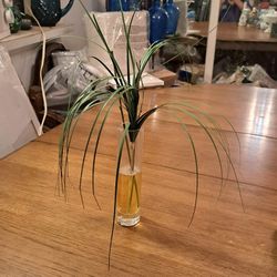 7.5" Tall Clear Glass Vase W/Artificial Plant And Fake Water Pre-owned In Good Condition 