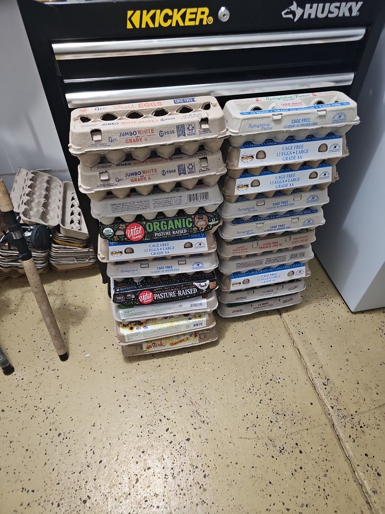 Trade 20 Eggcartons for 1 Dozen Organic Eggs