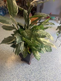 Artificial Decor Plant