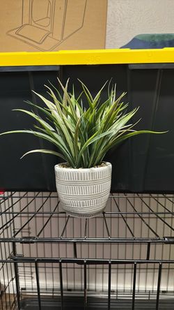 Fake Plant