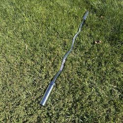 Olympic Curl bar