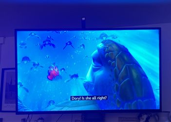 55” insignia  tv