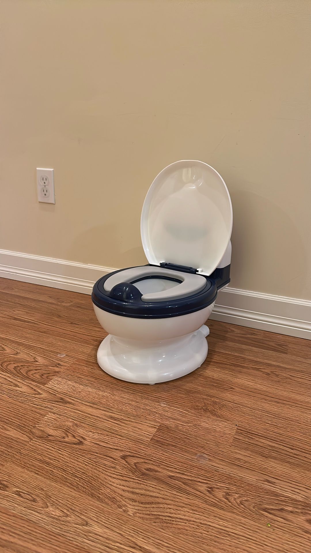 Potty Training Toilet (like New)