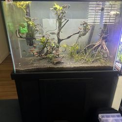50 Gallon Aquarium With Light. 