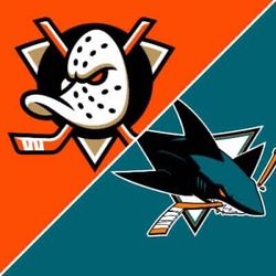 Ducks Vs Sharks