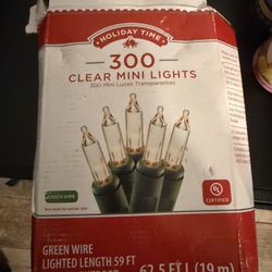 Nib Clear Mini Lights Set Of 300
