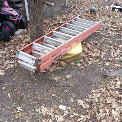 10 Ft Louisville Ladder