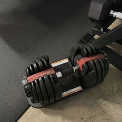 Bowflex dumbbell