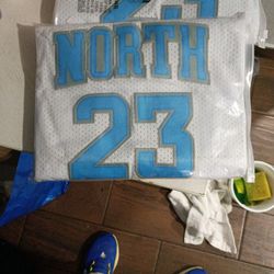 Michael Jordan College Jersey 