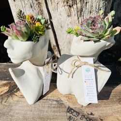 Cement Bust Pots | Succulent Arrangements
