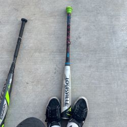 Louisville Bat