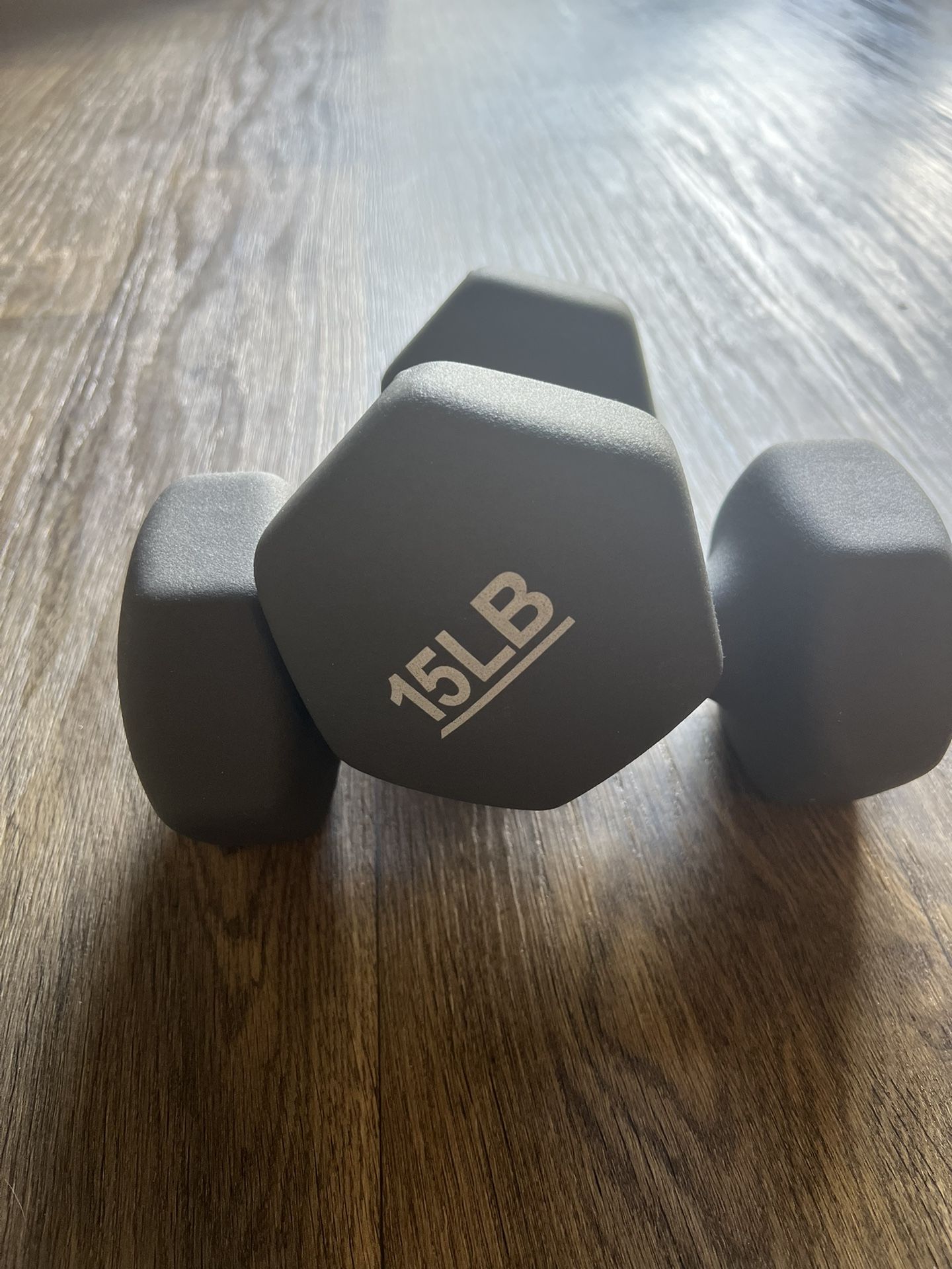 15lb Dumbbells