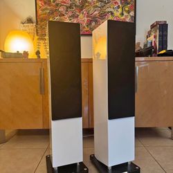 White Tonnoy  Revolution Xt6f