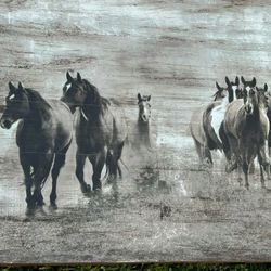 Horse Frame Picture Original Price 79.99 Selling For 35.00