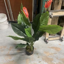 Artificial Bird Of Paradise Plant
