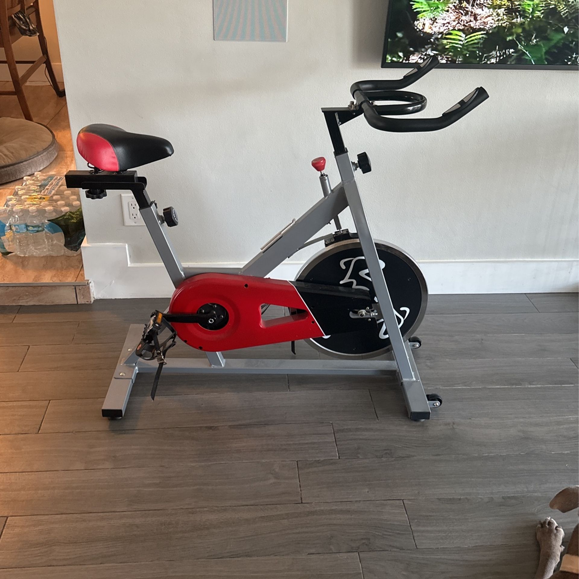 Stationary Bike 