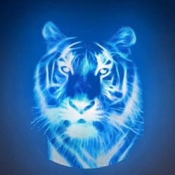 3d Hologram Fan 