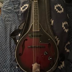 Mandolin Vangoa.