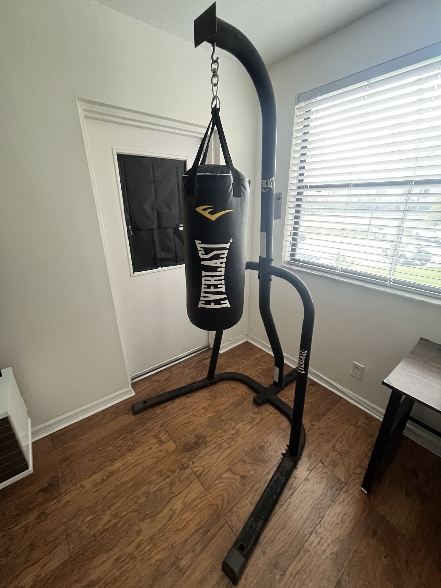 Everlast Punching Bag