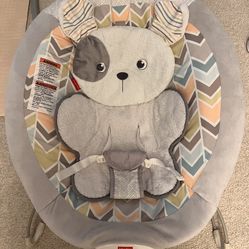 Fisher-Price Sweet Snugapuppy Bouncer 