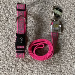 Coastal Lazer Brite Reflective Dog Collar & Leash