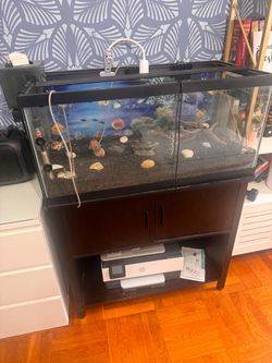 Fish tank stand and fish tank