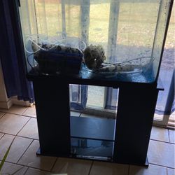 40 Gallon Fish Tank t With Stand And Every Thing You See