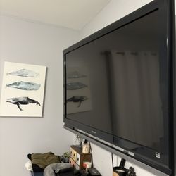 49 Inch TV With Swiveling Bracket