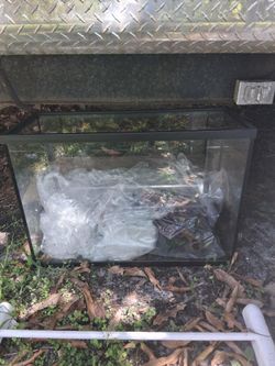28 Gallon tank with lights and heater and bubbler