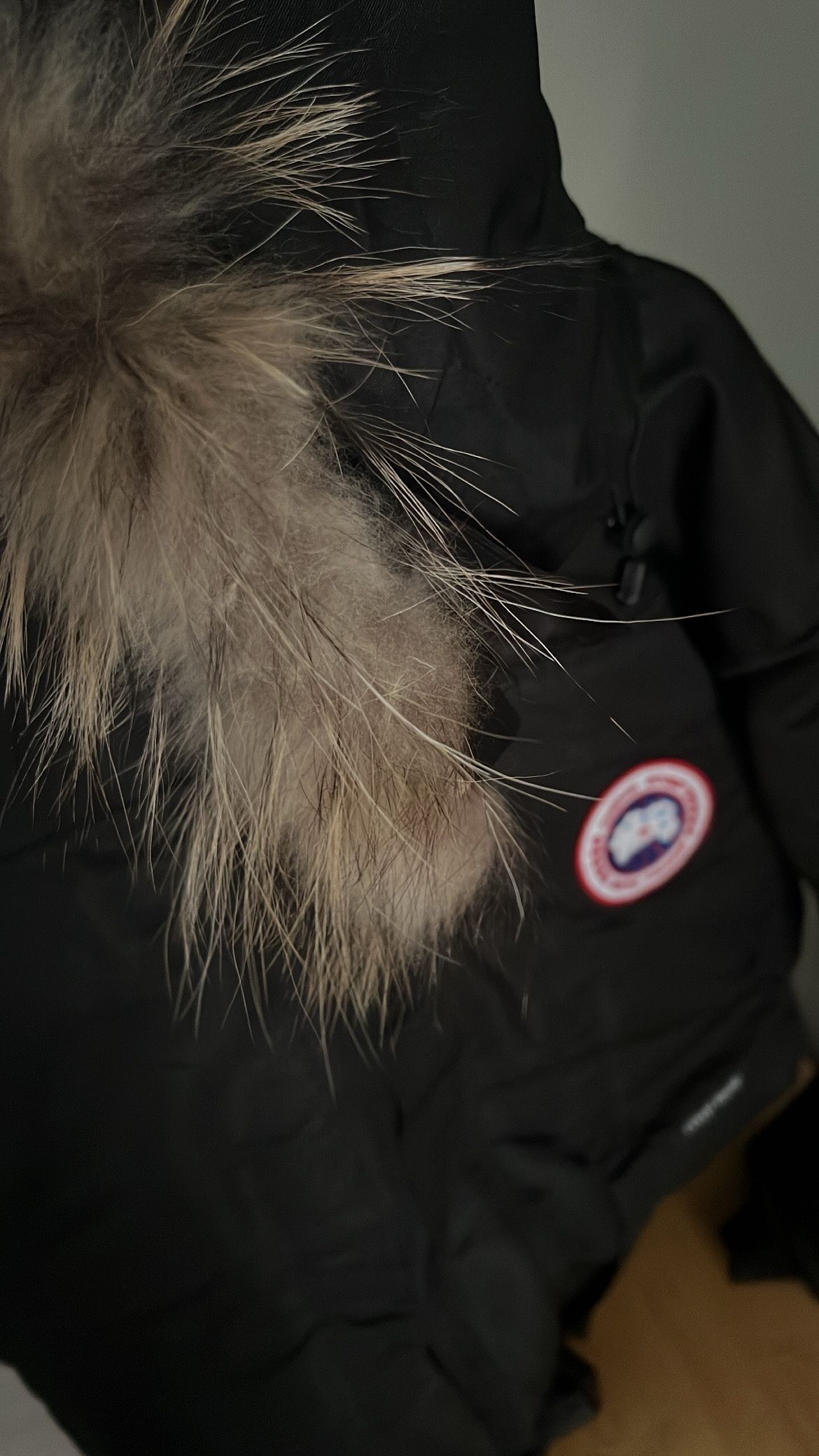 Canadian Goose Jacket/coat,All Products : American Fashion Style Bags On Sale